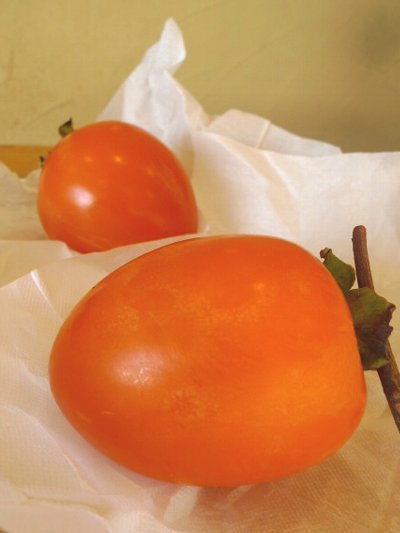 祇園坊（ぎおんぼう）柿