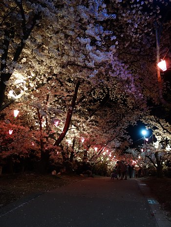 早島公園